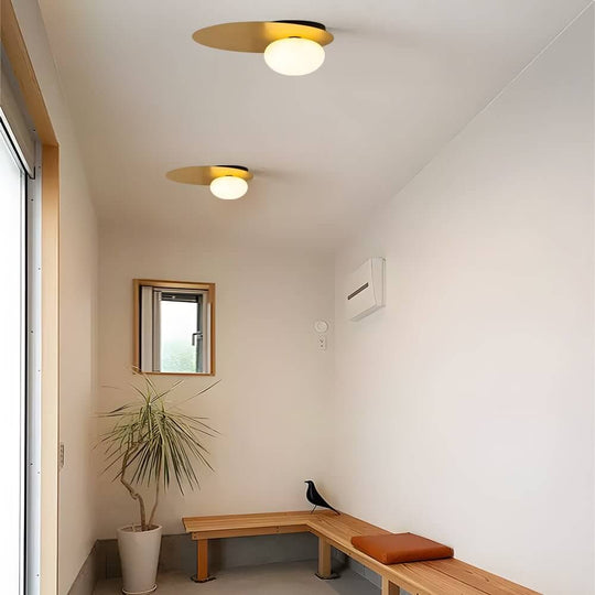 1-Light Oval Metal LED Flush Mount Ceiling Light