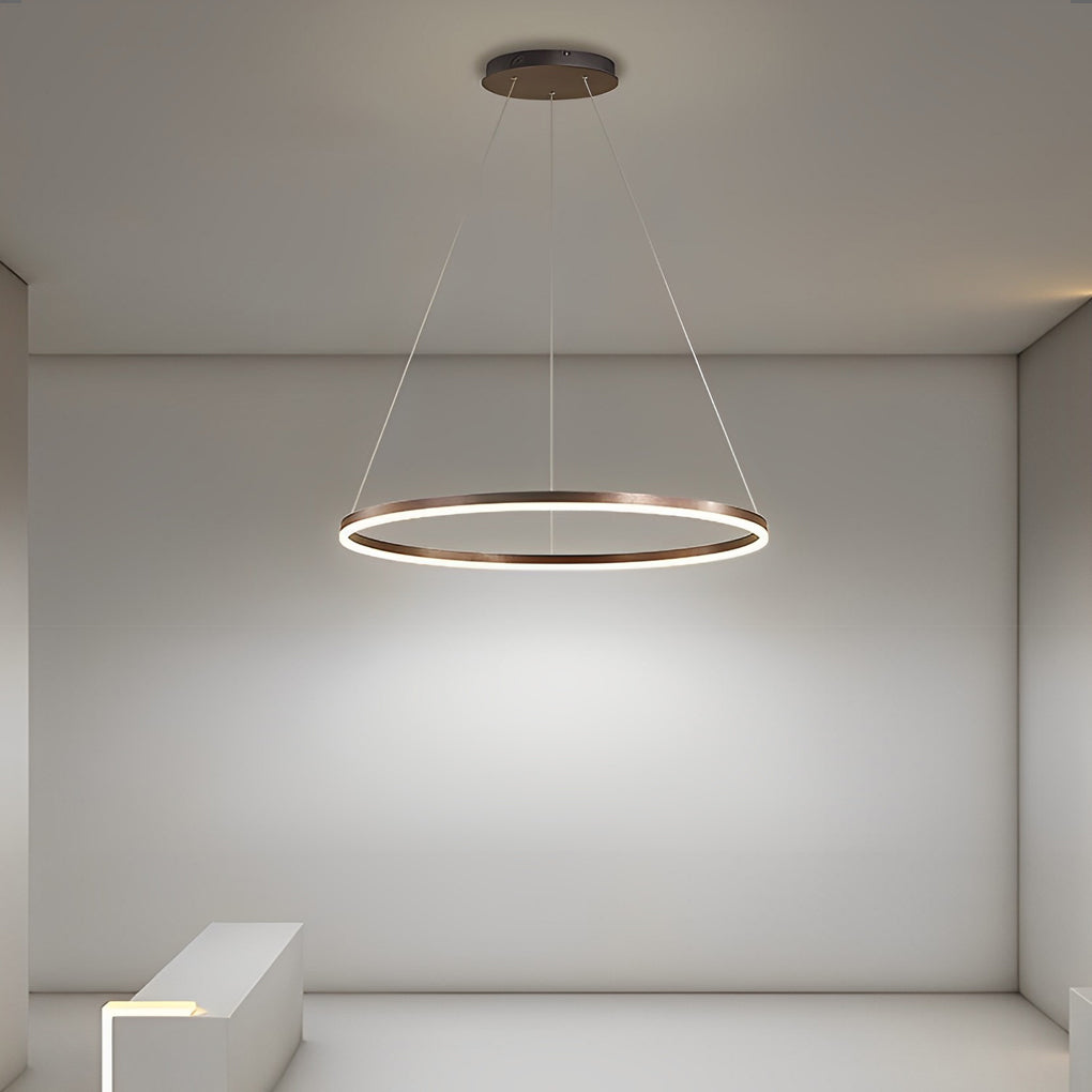 16'' Simple Circle Pendant Light with Acrylic Shade