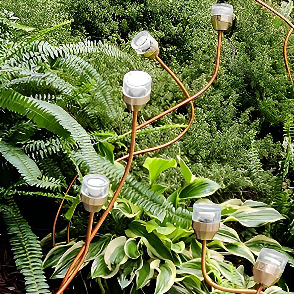 Outdoor Flower Bud LED Lawn Lights – Apple & Grape Designs