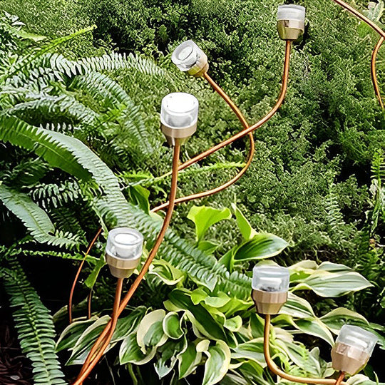 Outdoor Flower Bud LED Lawn Lights – Apple & Grape Designs