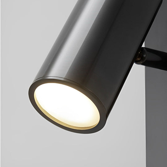Black and Gold LED Linear Wall Lamp with Adjustable Spotlight
