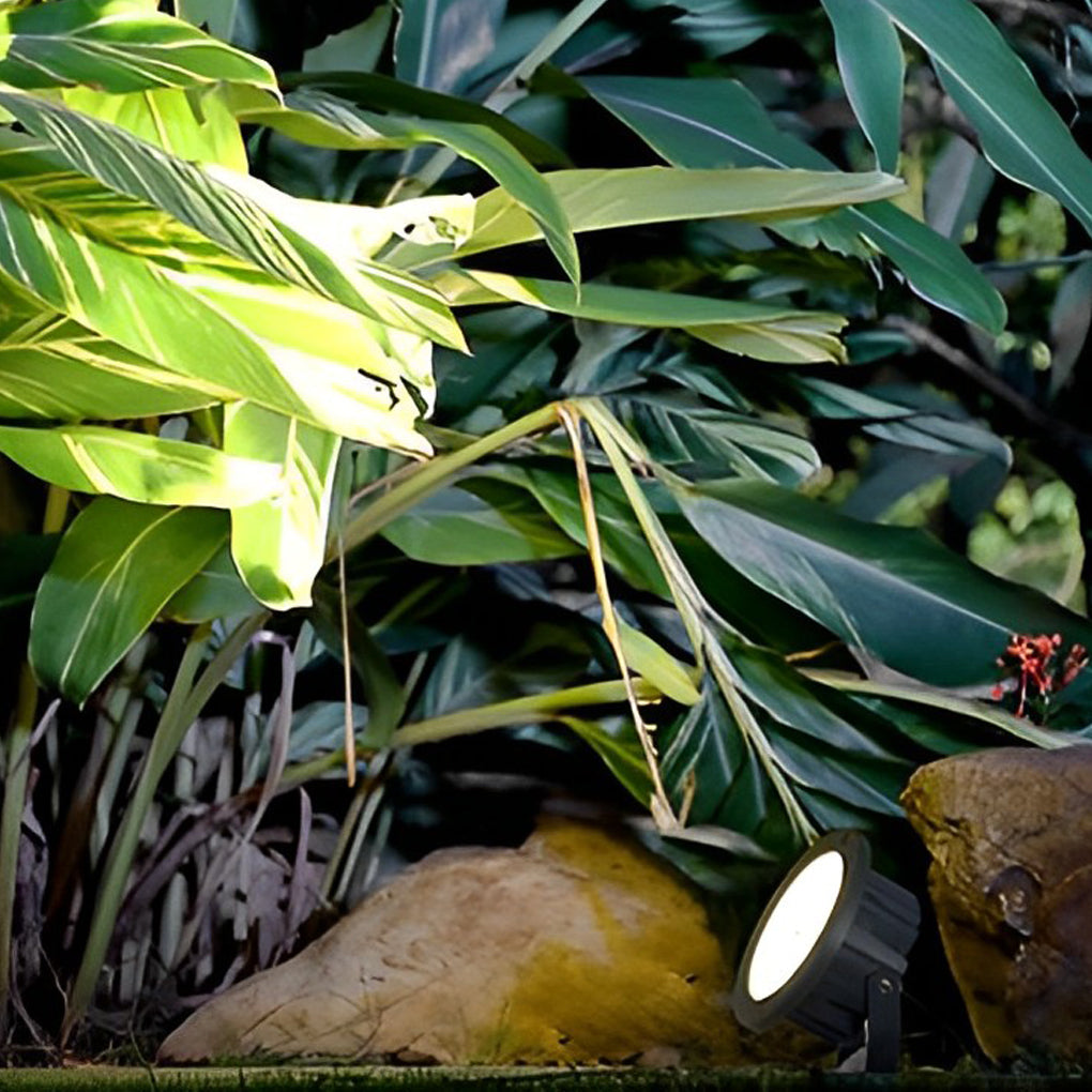 Elegant European Style Black LED Outdoor Pathway Lamp Post