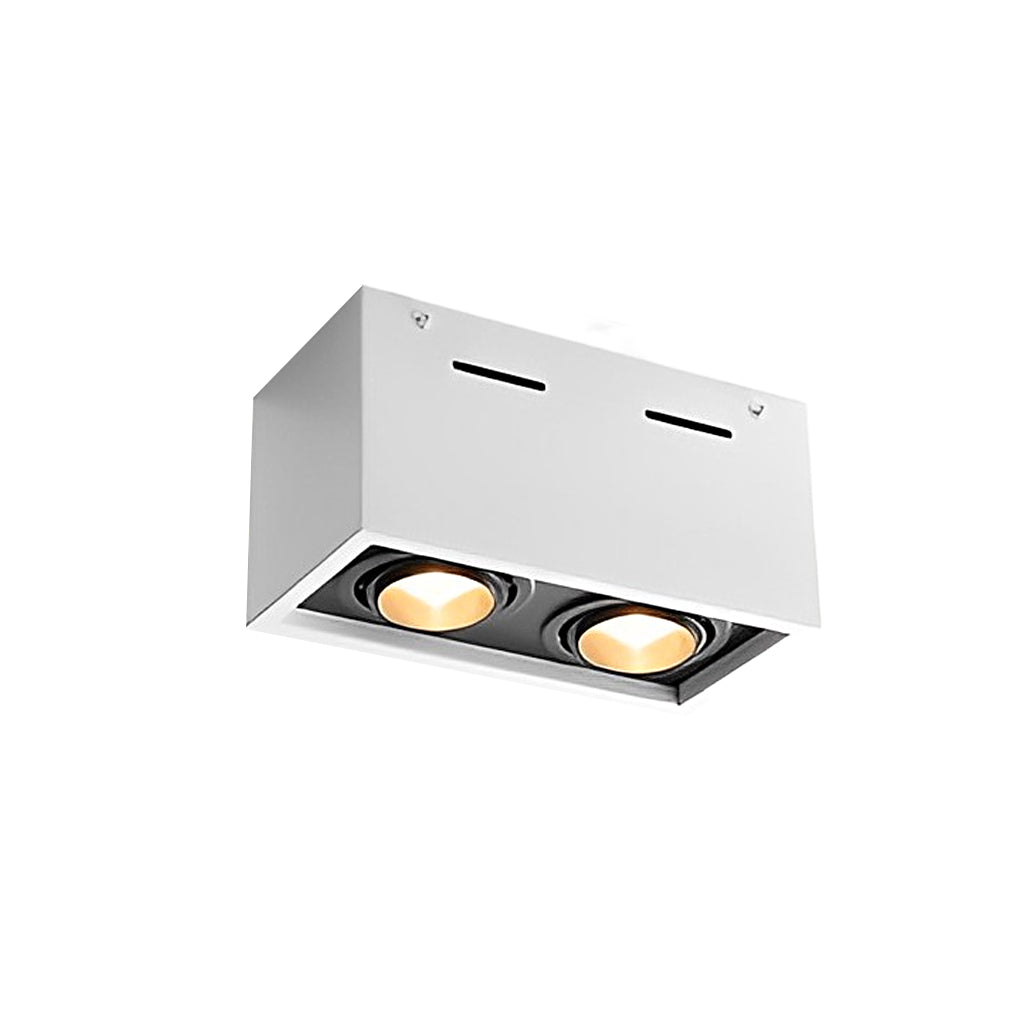Rectangular 2-Light Adjustable LED Surface Mounted Spotlight