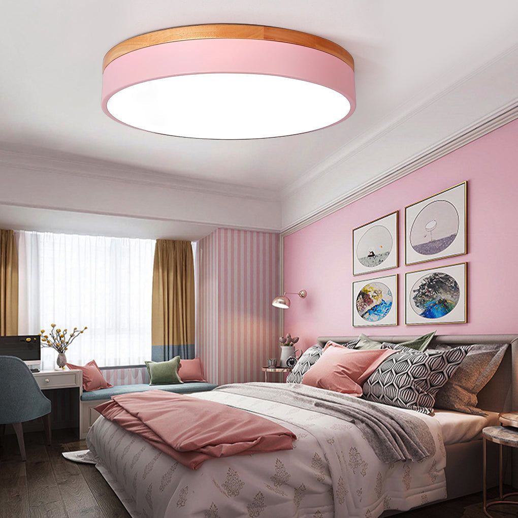 12-Inch Circular LED Modern Flush Mount Ceiling Light