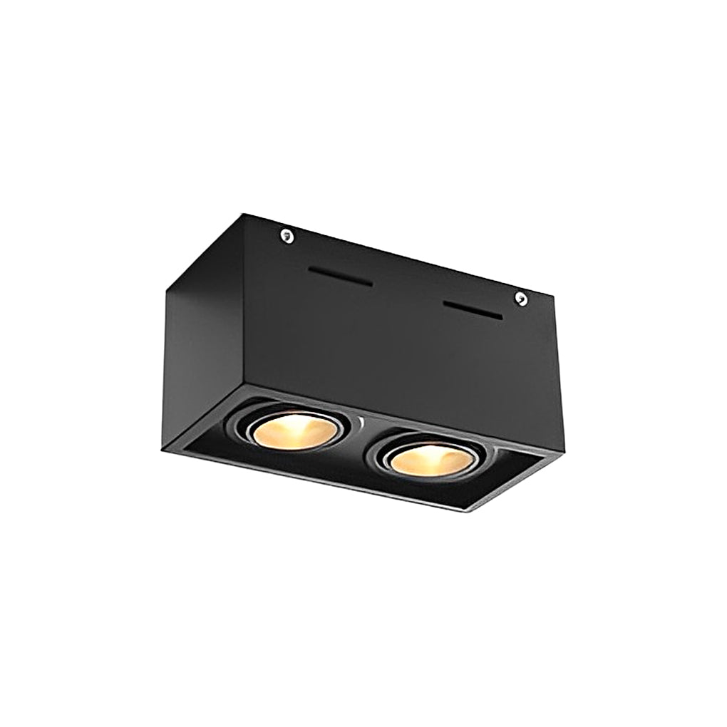 Rectangular 2-Light Adjustable LED Surface Mounted Spotlight