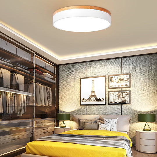 12-Inch Circular LED Modern Flush Mount Ceiling Light