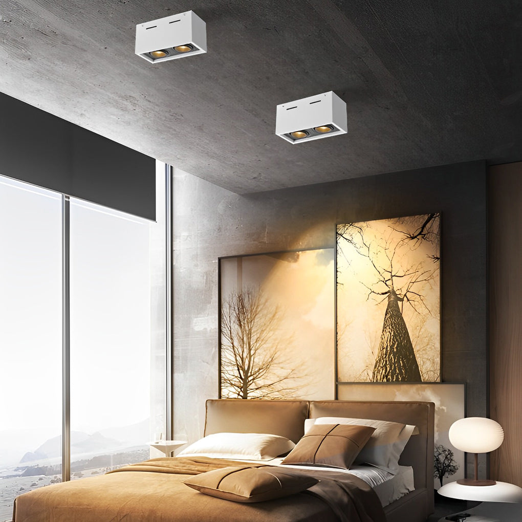 Rectangular 2-Light Adjustable LED Surface Mounted Spotlight