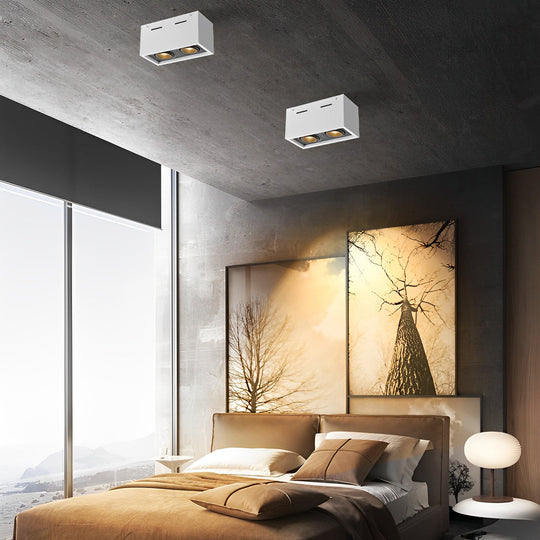 Rectangular 2-Light Adjustable LED Surface Mounted Spotlight