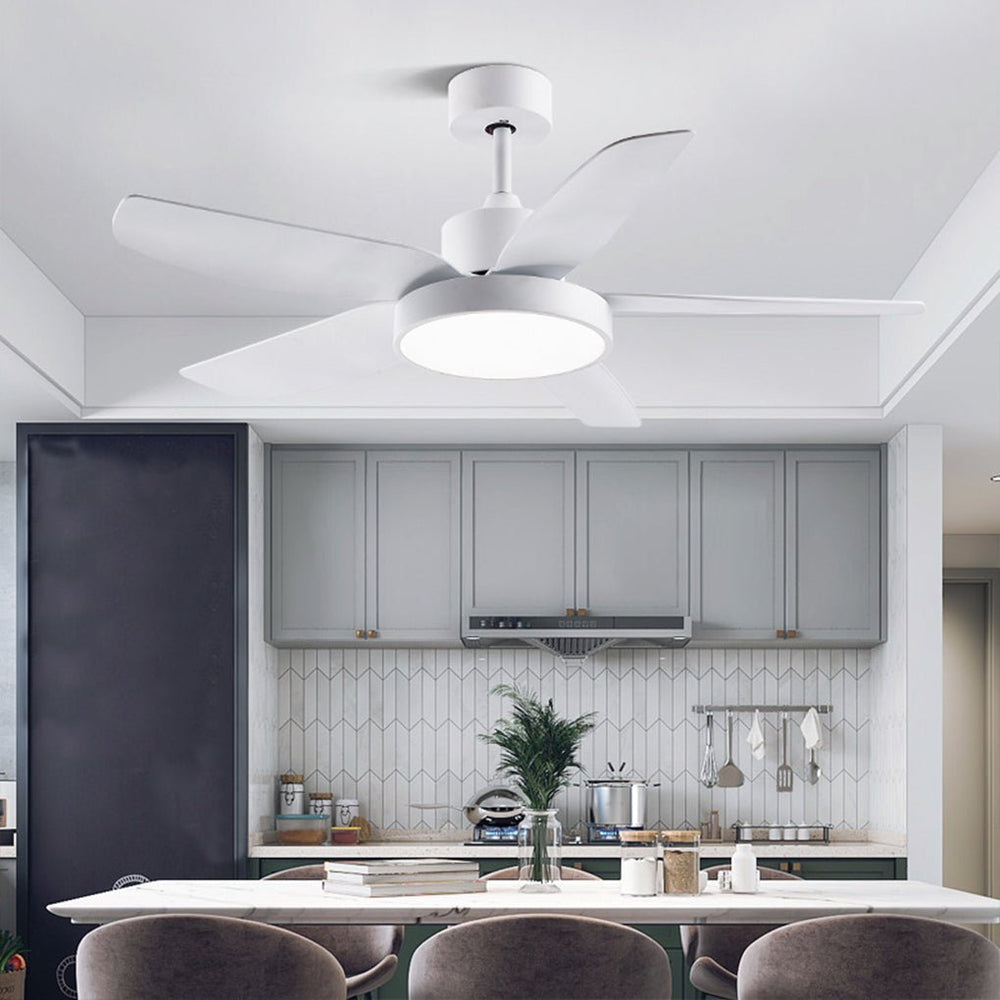 46 Inch LED 6-Speed Downrod Ceiling Fan Light with Remote