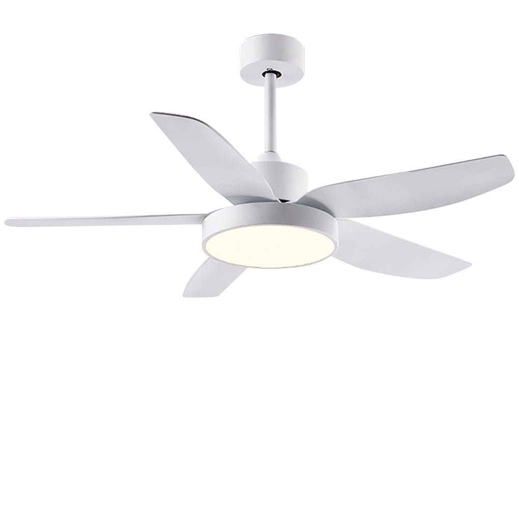 46 Inch LED 6-Speed Downrod Ceiling Fan Light with Remote