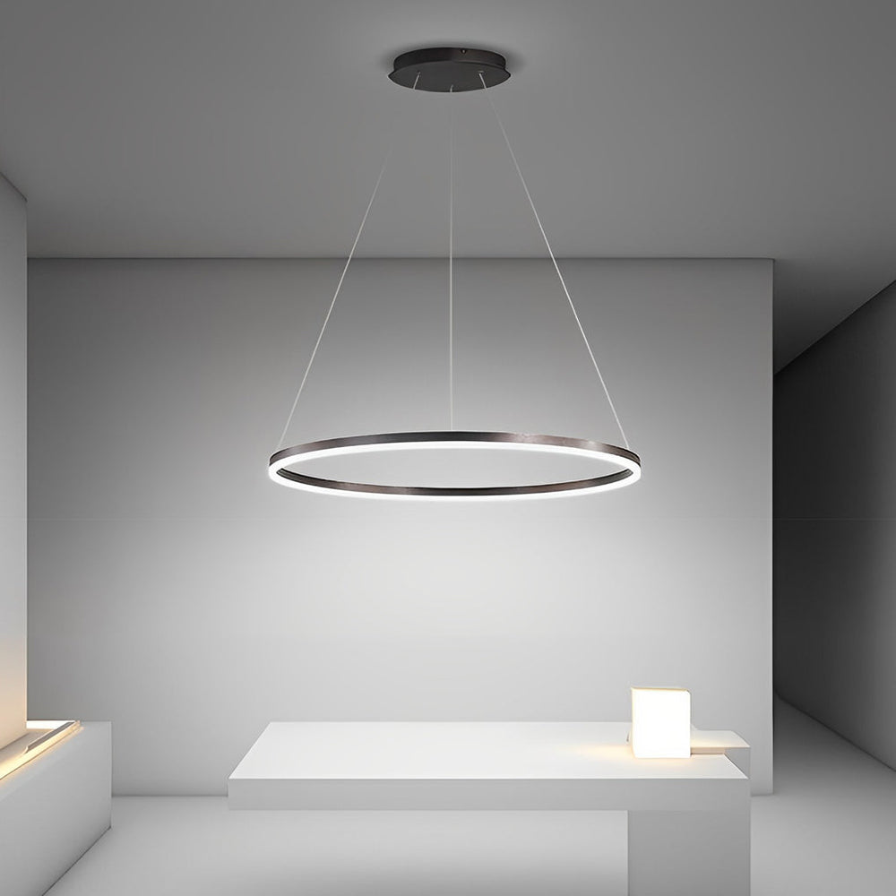 16'' Simple Circle Pendant Light with Acrylic Shade