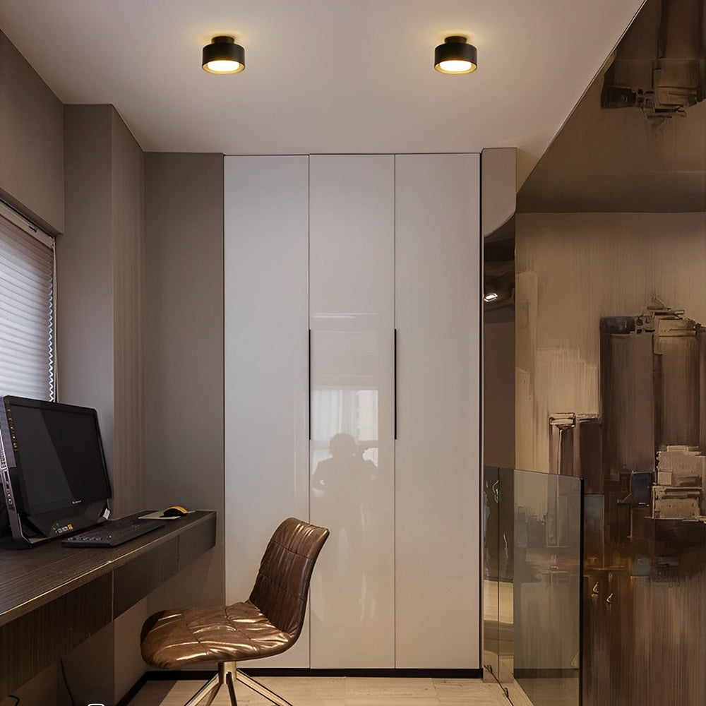 Small Round Aluminum LED Modern Minimalist Surface Mounted Ceiling Light