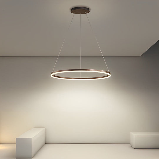 16'' Simple Circle Pendant Light with Acrylic Shade
