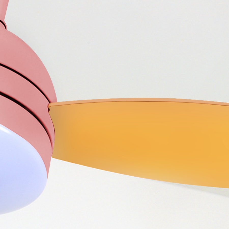 Modern Variable Frequency Kids Ceiling Fan with LED Light