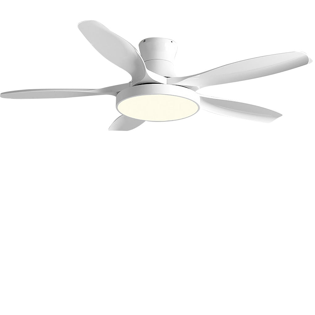 60" Frequency Conversion Ceiling Fan Chandelier with Remote Control