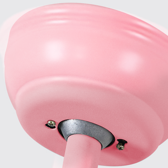 Modern Variable Frequency Kids Ceiling Fan with LED Light