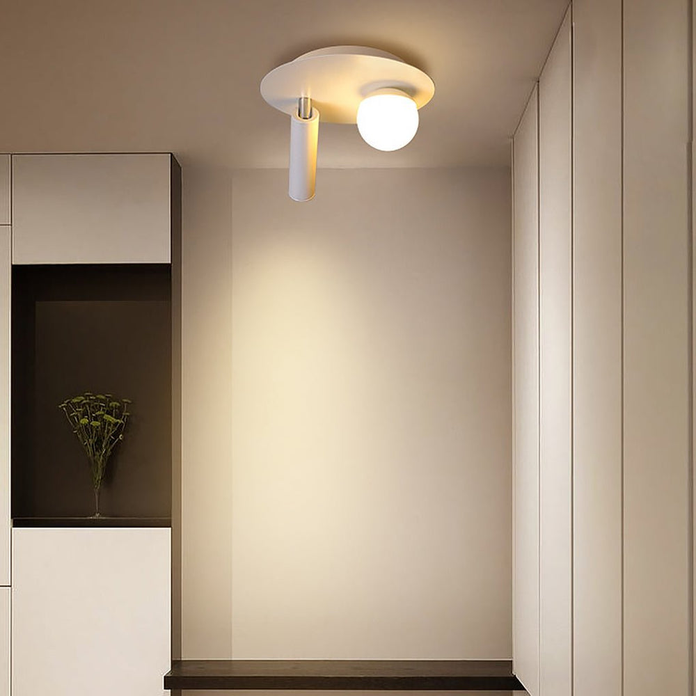 8'' Round Small Flush Mount LED Light with Adjustable Spotlight