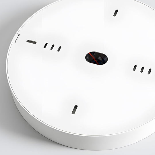 9.1-Inch Peg 4-Light LED Flush Mount Ceiling Light