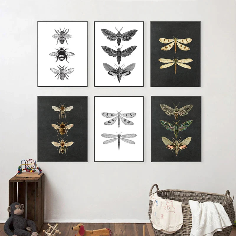 Vintage Flying Insect Specimen Canvas Wall Art Print