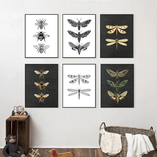 Vintage Flying Insect Specimen Canvas Wall Art Print