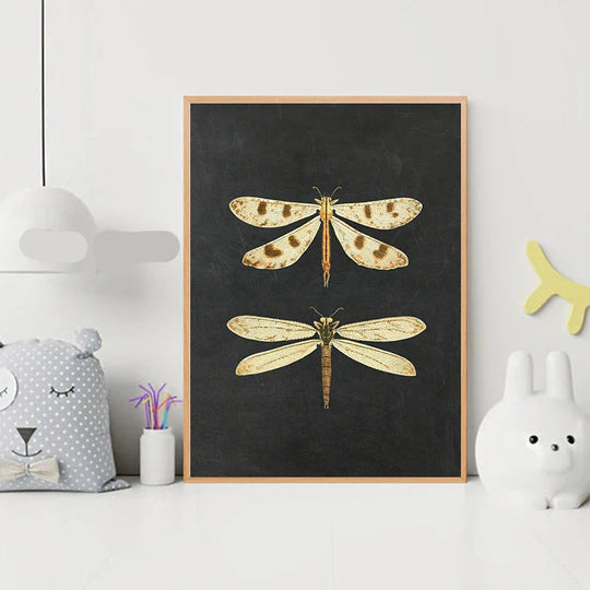 Vintage Flying Insect Specimen Canvas Wall Art Print