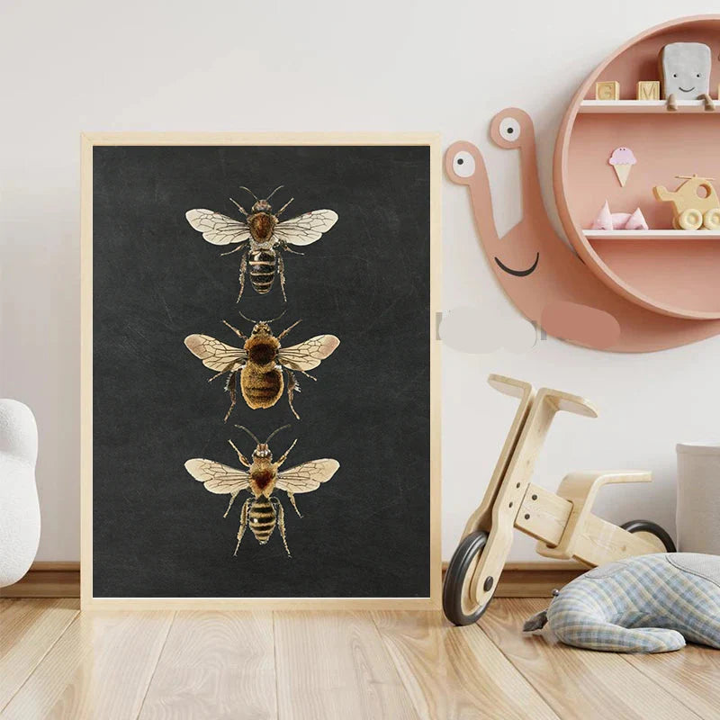 Vintage Flying Insect Specimen Canvas Wall Art Print