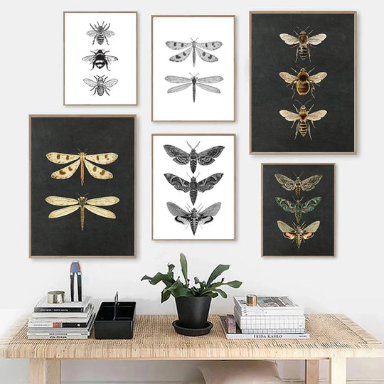 Vintage Flying Insect Specimen Canvas Wall Art Print