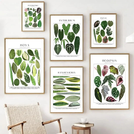 Classic Botanical Specimen Green Leaves Canvas Wall Art