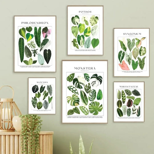 Classic Botanical Specimen Green Leaves Canvas Wall Art