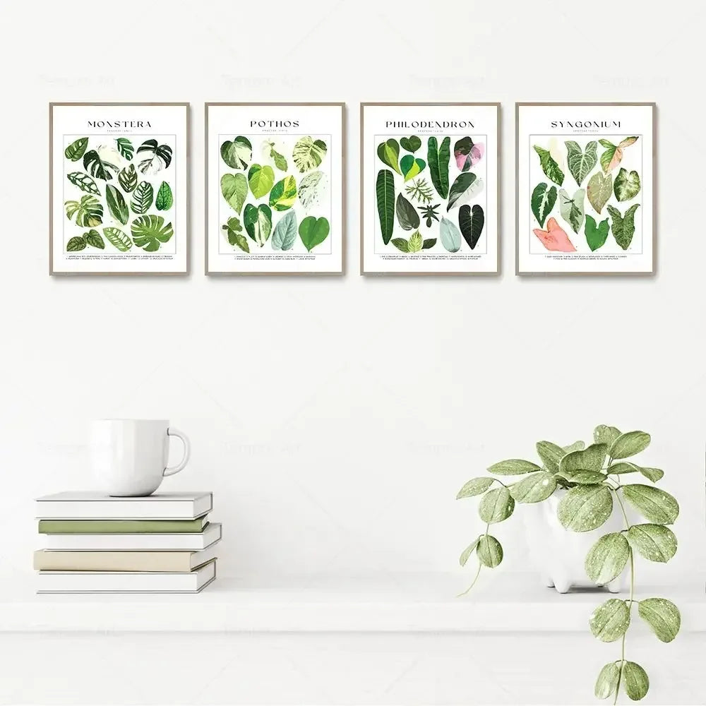 Classic Botanical Specimen Green Leaves Canvas Wall Art