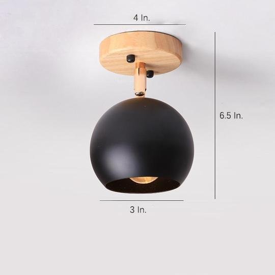 Semicircular Metal LED Rustic Adjustable Pendant Light
