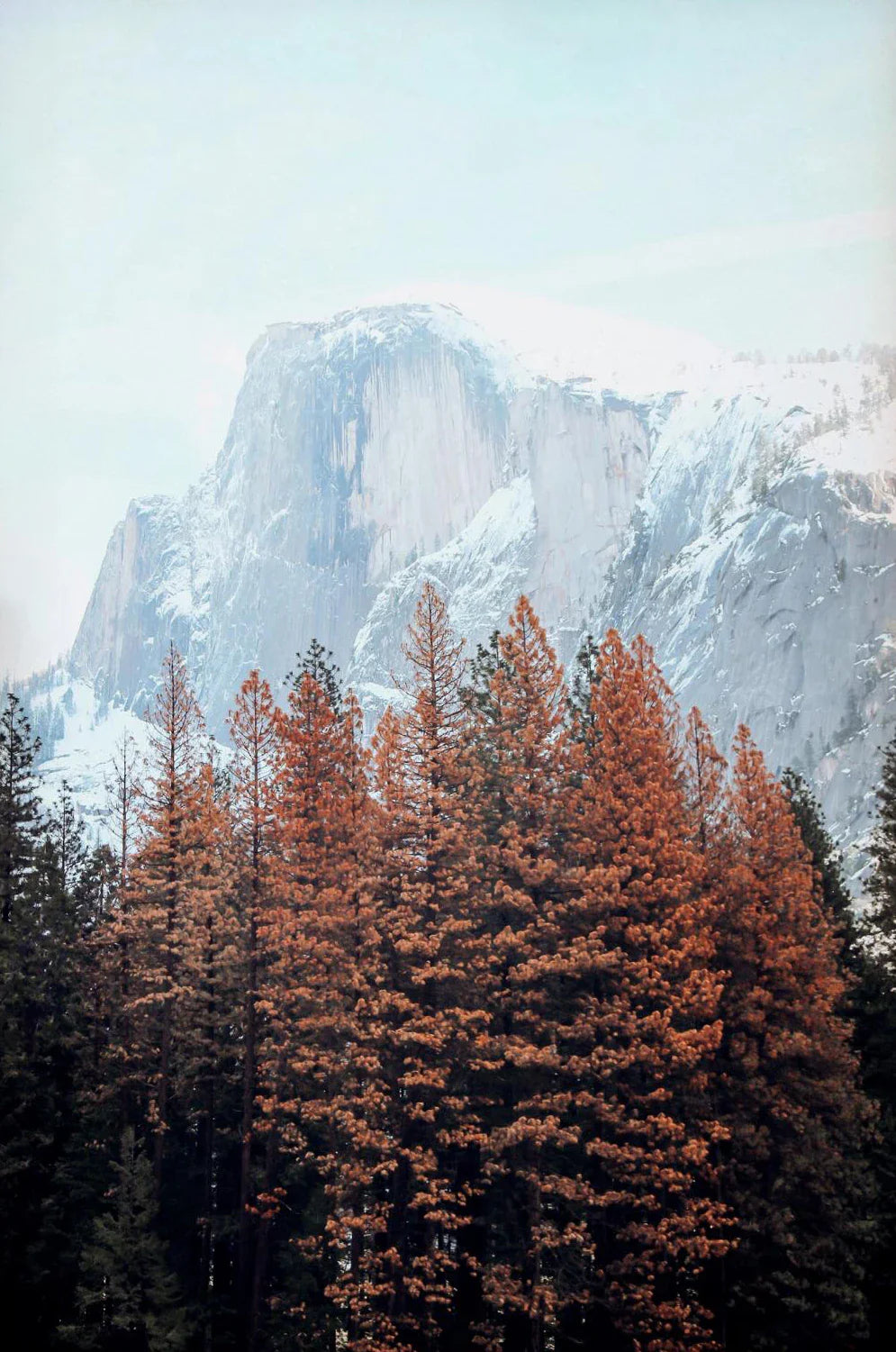 Green Mountain Misty Forest Landscape Wall Art Canvas Print