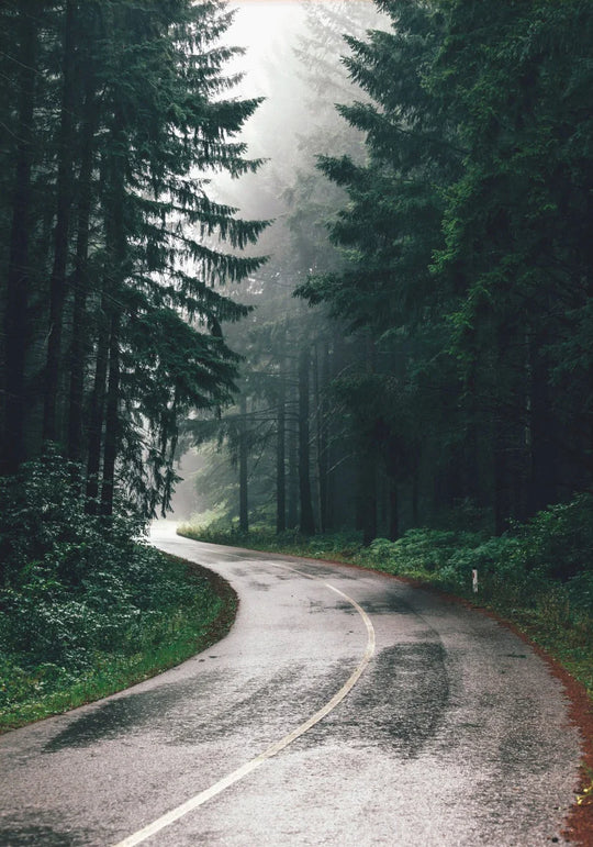 Green Mountain Misty Forest Landscape Wall Art Canvas Print