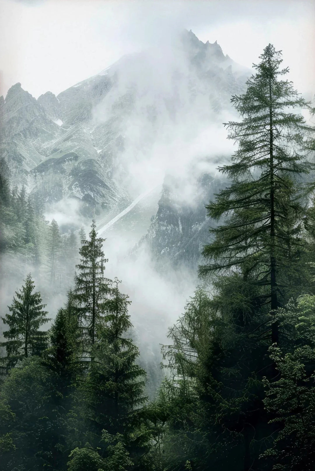 Green Mountain Misty Forest Landscape Wall Art Canvas Print