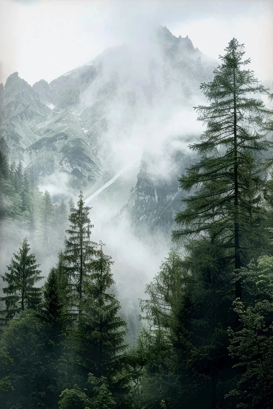 Green Mountain Misty Forest Landscape Wall Art Canvas Print