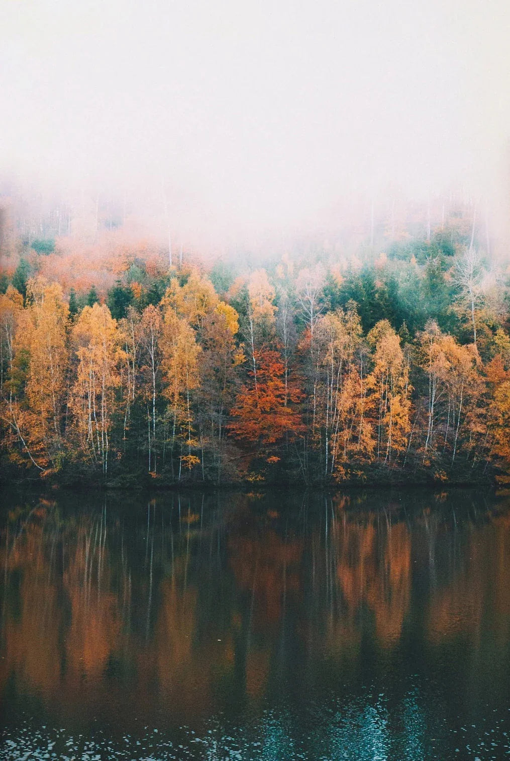 Green Mountain Misty Forest Landscape Wall Art Canvas Print