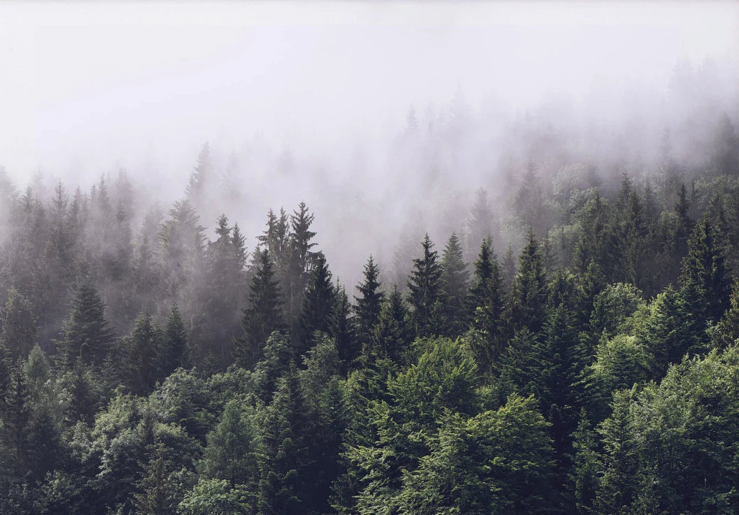 Green Mountain Misty Forest Landscape Wall Art Canvas Print