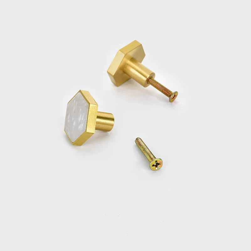 Modern Brass Shell Knobs – Colorful Cabinet & Wardrobe Pulls