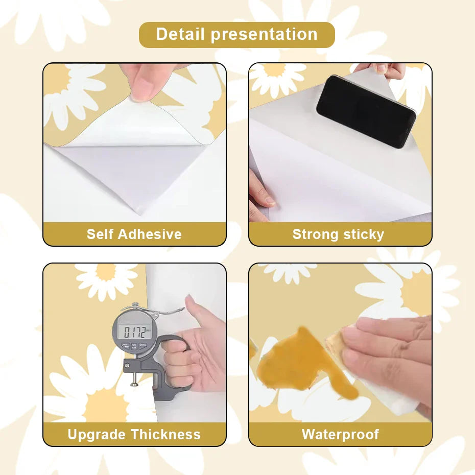 Large Format Daisy Archway Wall Mural For Home Decor