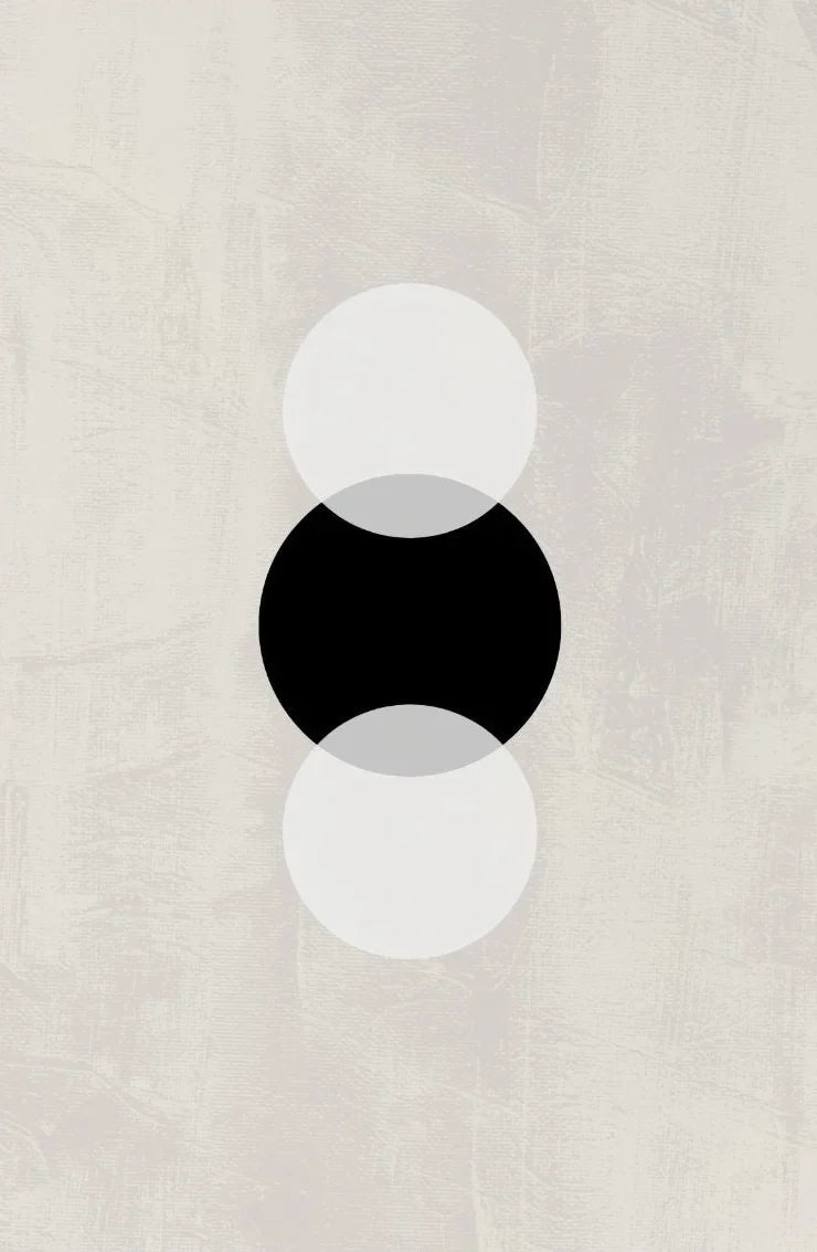 Minimalist Geometric Black White Abstract Canvas Wall Art