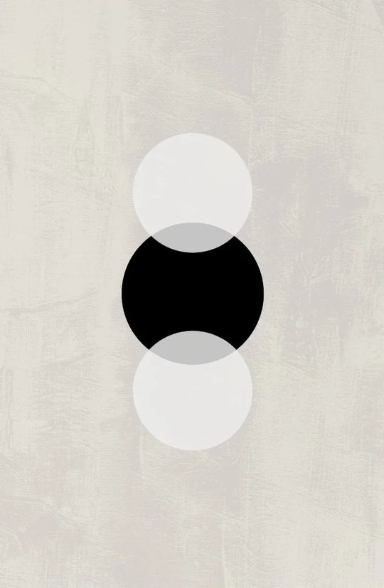 Minimalist Geometric Black White Abstract Canvas Wall Art