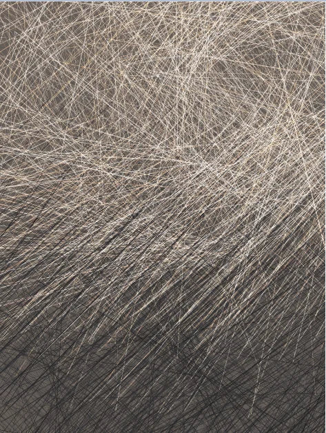 Modern Aesthetics Metal Line Art Canvas Wall Art