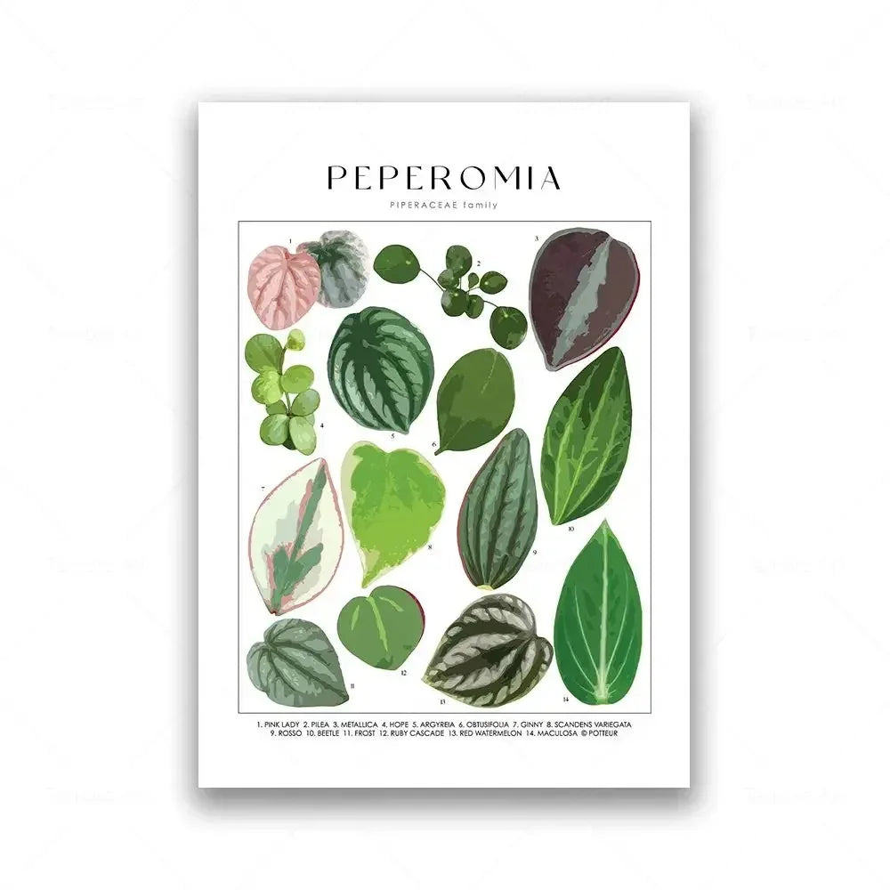 Classic Botanical Specimen Green Leaves Canvas Wall Art