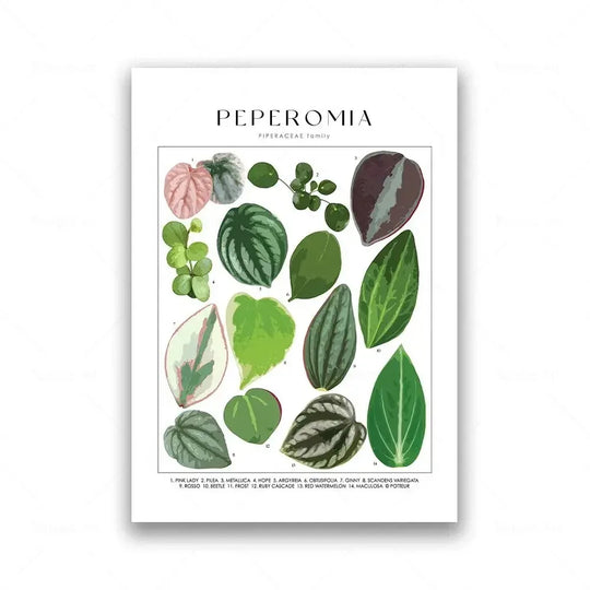 Classic Botanical Specimen Green Leaves Canvas Wall Art