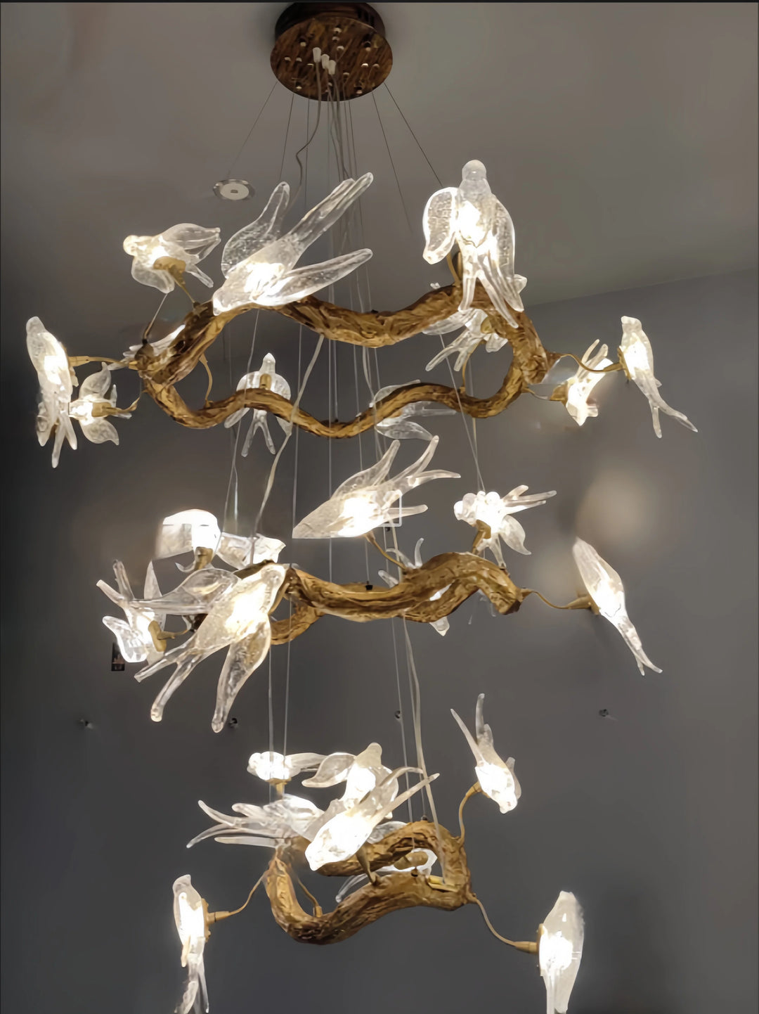 Vintage Round Glass Bird Branch Chandelier for Dining & Living Rooms