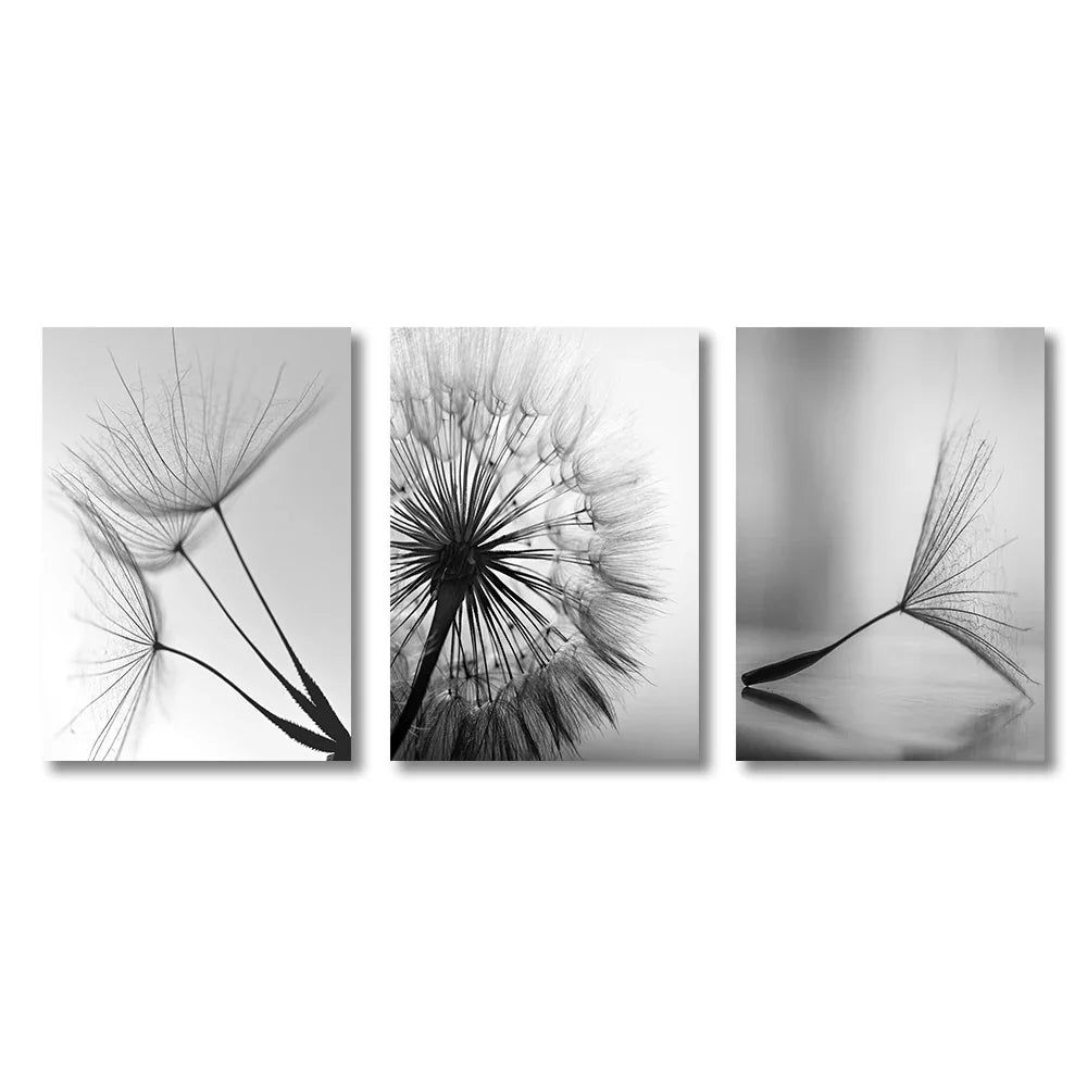 Minimalist Dandelion Wisps Black White Canvas Wall Art Unframed