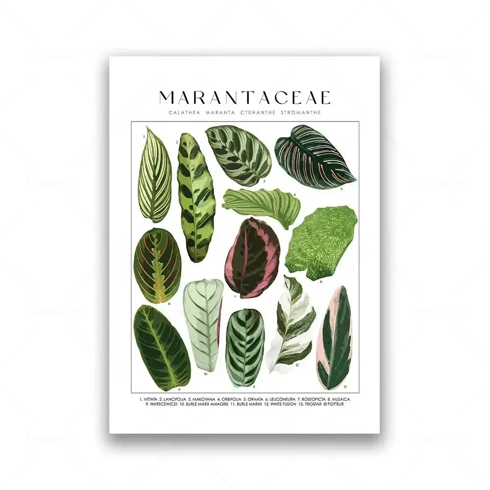 Classic Botanical Specimen Green Leaves Canvas Wall Art