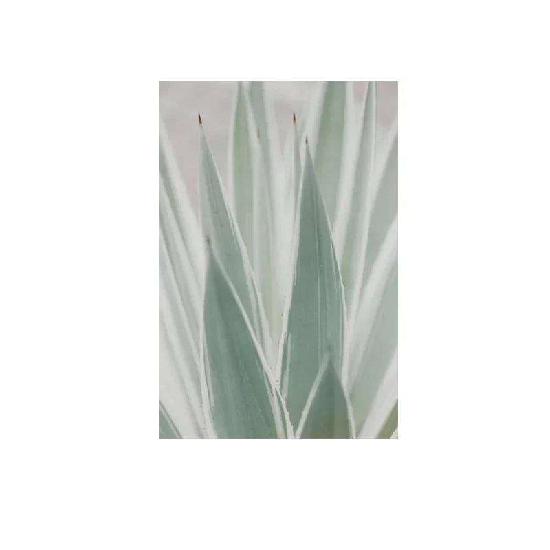 Cactus Botanical Canvas Wall Art Green Leaf Print