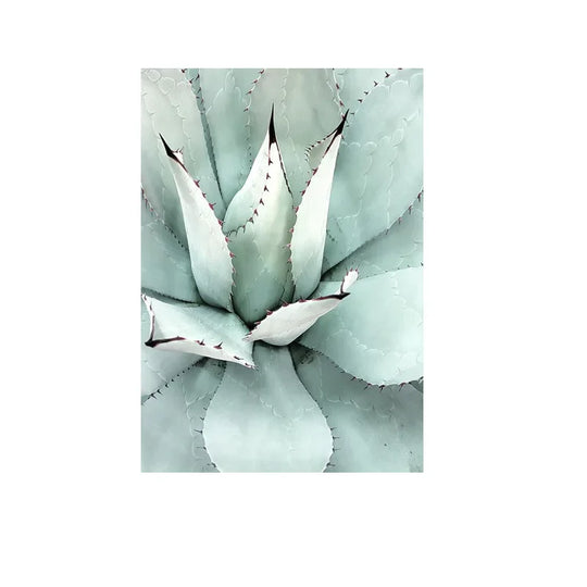 Cactus Botanical Canvas Wall Art Green Leaf Print