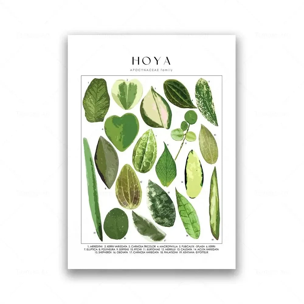 Classic Botanical Specimen Green Leaves Canvas Wall Art